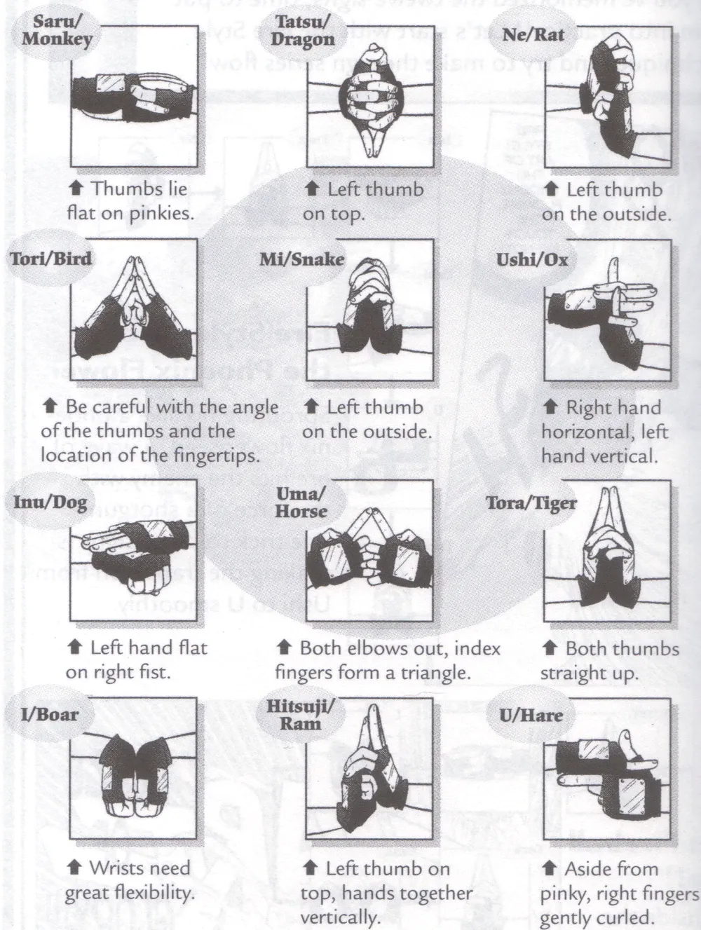 Hand Sign
